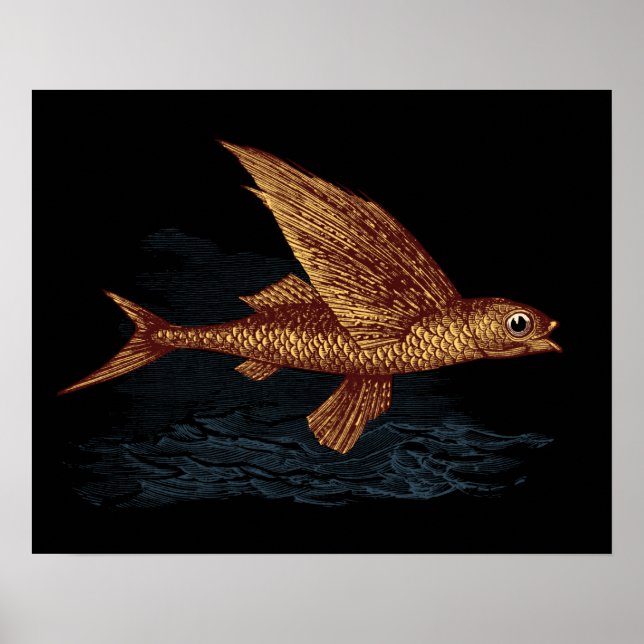 Affiche Poisson volant (Devant)