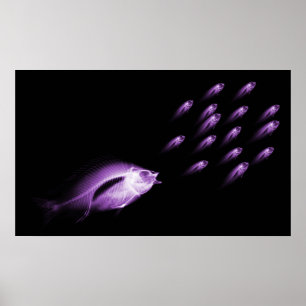 AFFICHE POISSON XRAY CHASE NOIR PURPLE