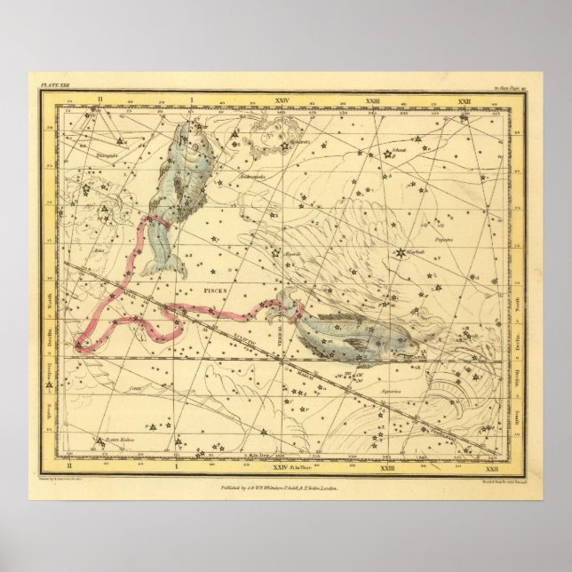 Affiche Poissons (Devant)