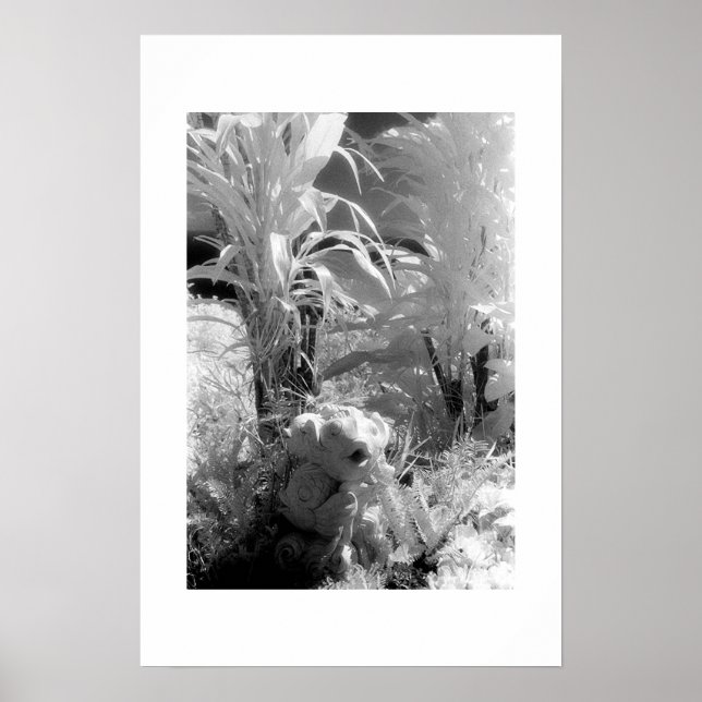 Affiche Poissons au Jardin d'Eden (Devant)