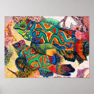 Affiche Poissons de mandarine - aquarelle