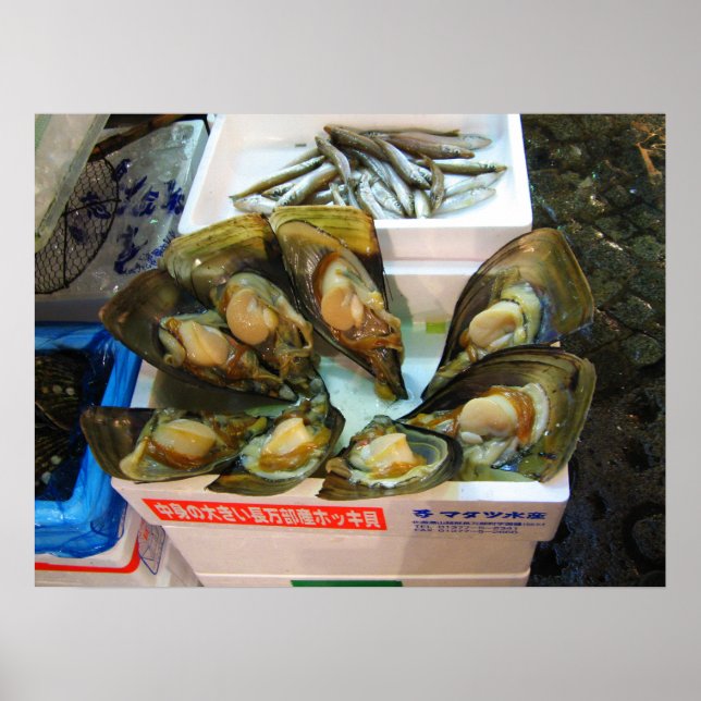 Affiche Poissons de moules géantes Tsukiji, Tokyo, Japon (Devant)