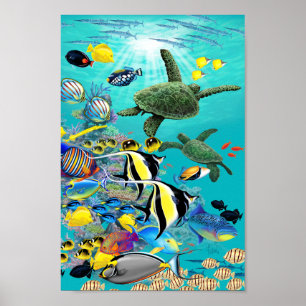 Affiche Poissons et mer tropicaux hawaïens Turtl de crique