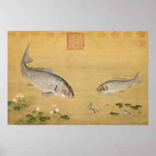 Affiche Poissons & plantes aquatiques par Giuseppe Castigl