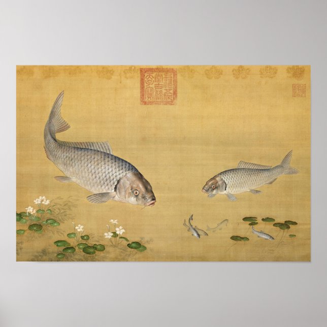Affiche Poissons & plantes aquatiques par Giuseppe Castigl (Devant)