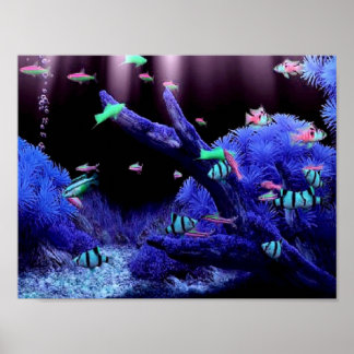 Affiche Poissons tropicaux