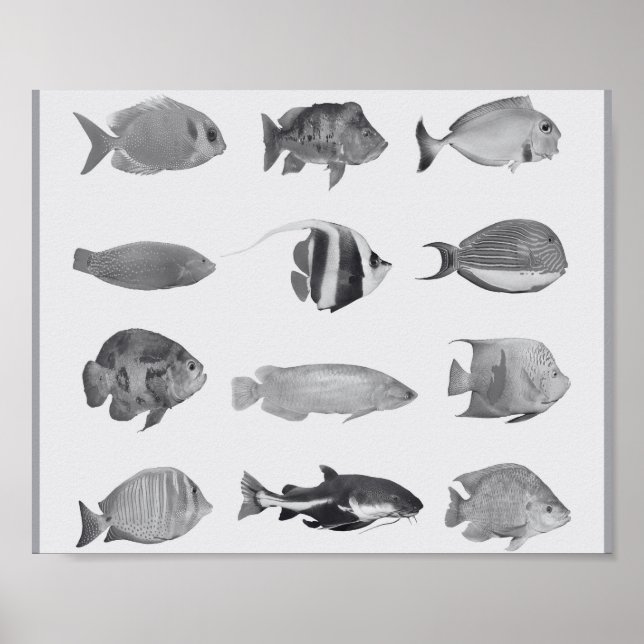 Affiche Poissons tropicaux noirs et blancs Art imprimable (Devant)