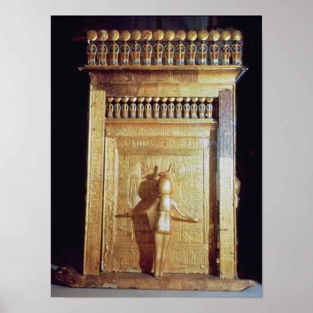 Affiche Poitrine canopique sous forme de coffret (Devant)