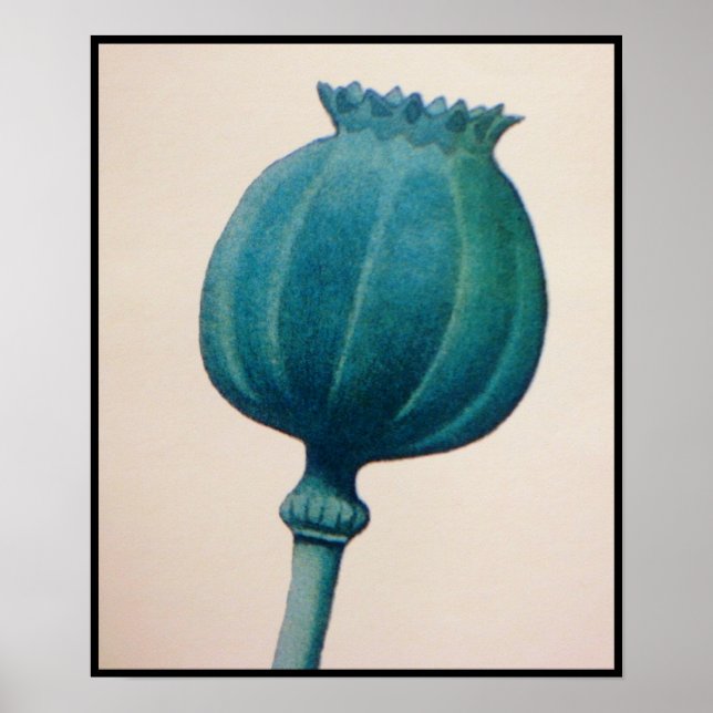 AFFICHE POIVRE D'OPIUM (Devant)