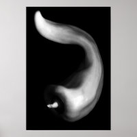 Poivre rond Gros plan noir et blanc Photographie