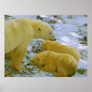 Affiche Polar Bear maman et ses petits papier imprimé