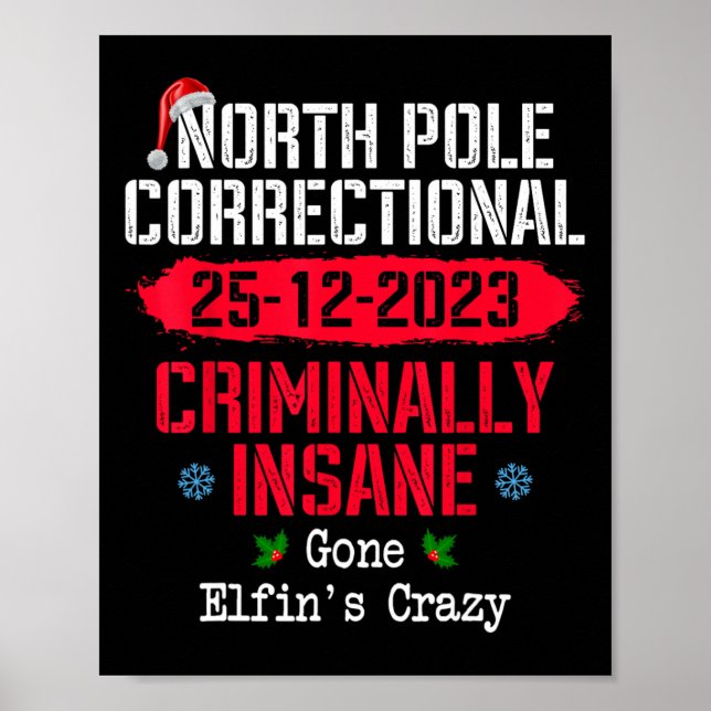 Affiche Pôle Nord Correction Criminellement Insane Est Par (Devant)