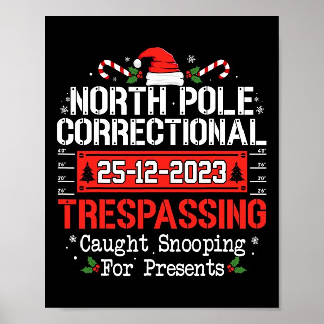 Affiche Pôle Nord, délinquance familiale (Devant)