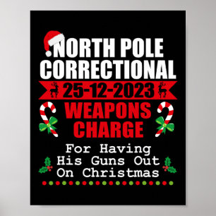 Affiche Pôle Nord Les Armes Correctionnelles Accusent Ses 
