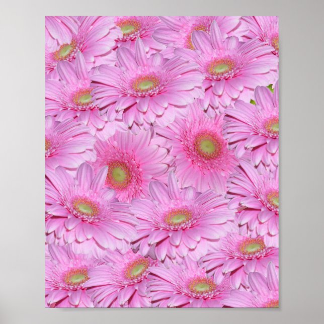 Affiche Pôle Rose De Gerbera Flower, (Devant)