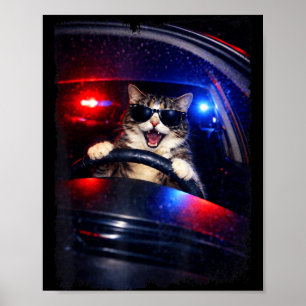 Affiche Police drôle chat fou conduisant une voiture mème