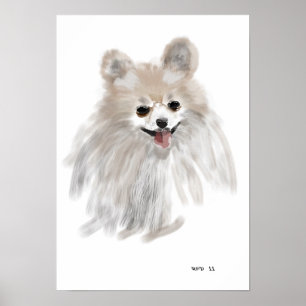 Affiche Pomerainian