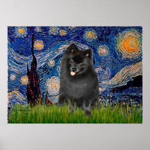Affiche Pomeranian (noir) - Nuit étoilée