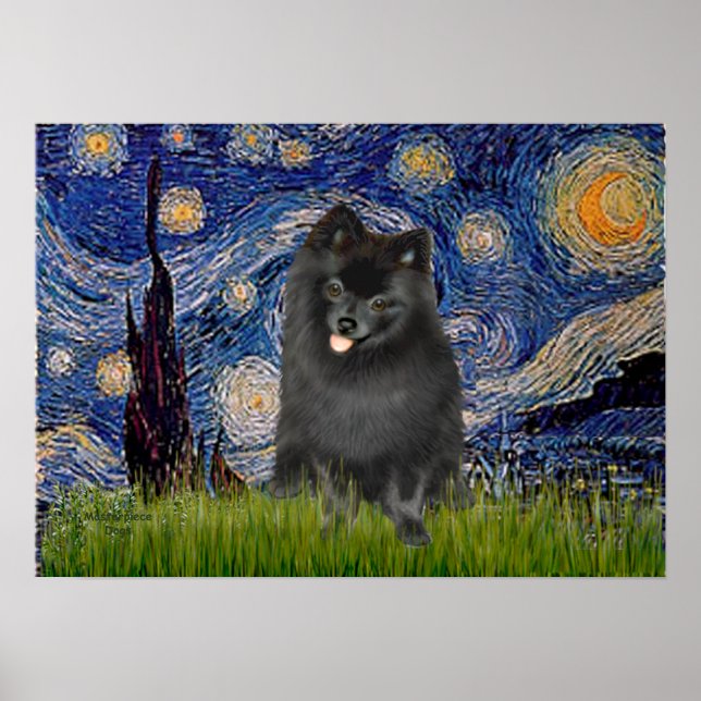 Affiche Pomeranian (noir) - Nuit étoilée (Devant)