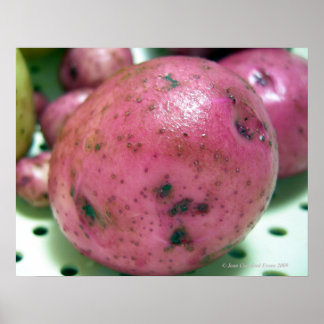 Affiche Pomme de terre rouge Norland