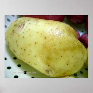 Affiche Pomme de terre Yukon Gold