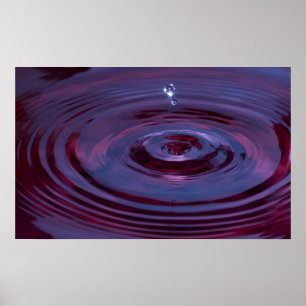 Affiche Pommes d'eau et gouttelettes dans l'étang pourpre