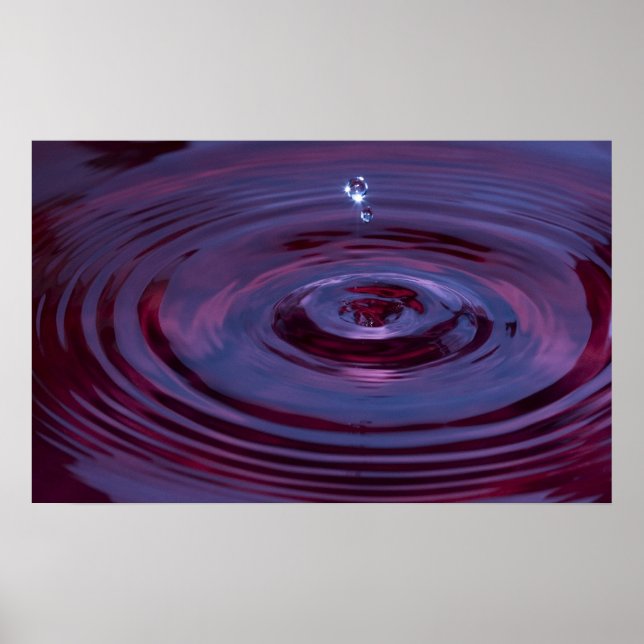 Affiche Pommes d'eau et gouttelettes dans l'étang pourpre (Devant)