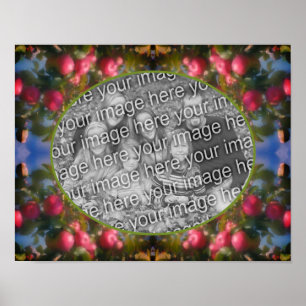 Affiche Pommes Rouges Sur Arbre Ajouter Votre Photo