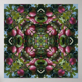 Affiche Pommes Rouges Sur L'arbre Nature Art Abstrait