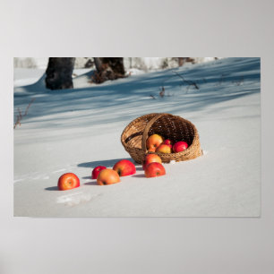 Affiche Pommes sur la neige