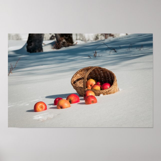 Affiche Pommes sur la neige (Devant)