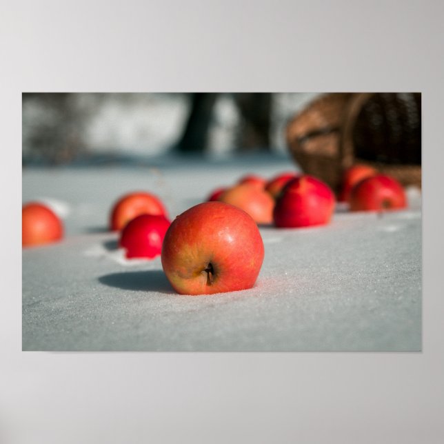 Affiche Pommes sur la neige (Devant)