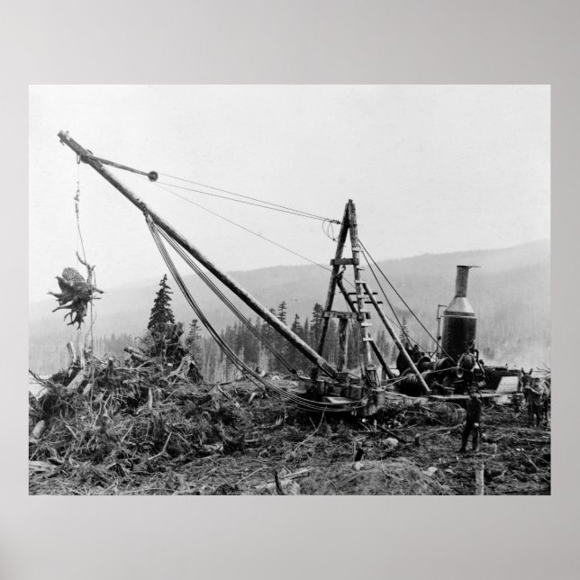 Affiche Pompe de souche : 1913 (Devant)