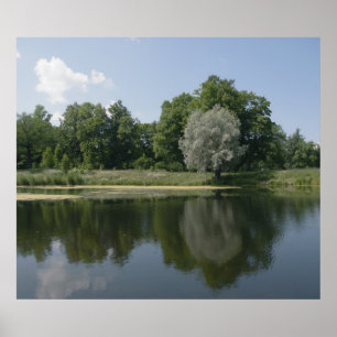 Affiche Pond