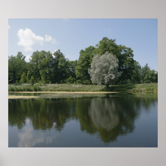 Affiche Pond (Devant)