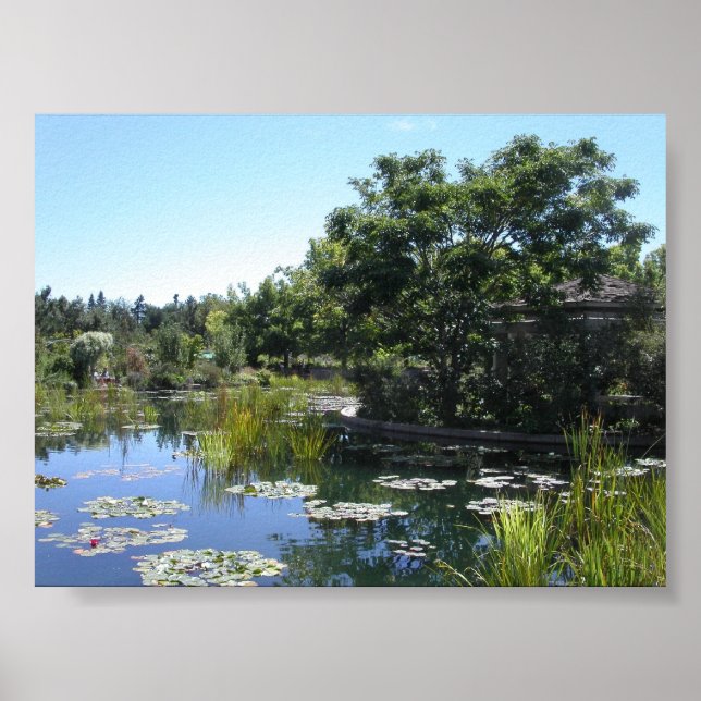 Affiche Pond (Devant)