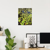 Pond Lily Plaquettes et roseaux Photographie