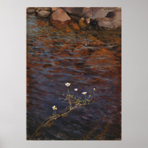 Affiche Pond Water Crowfoot (1895) Eero Järnefeel