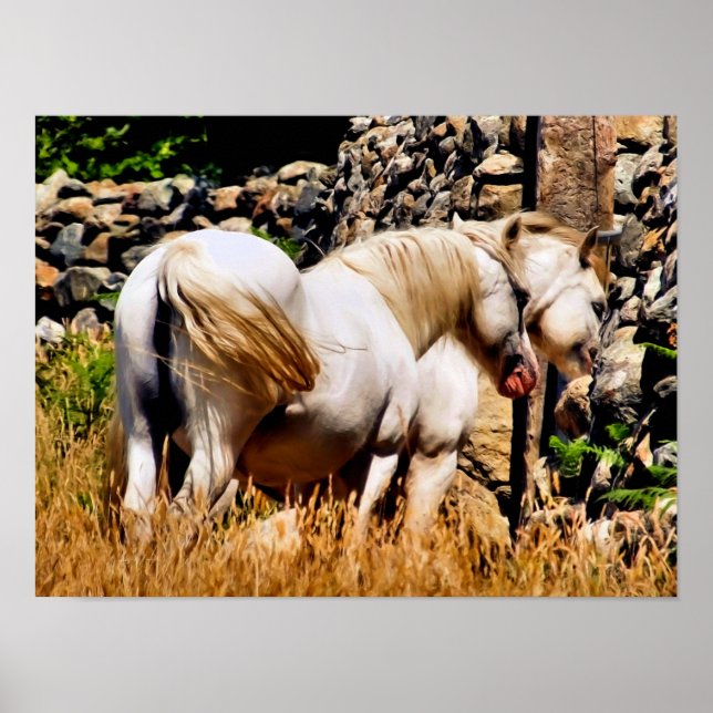 AFFICHE PONIES (Devant)