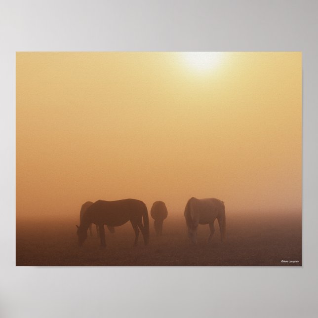 Affiche Ponies Caspiennes Pâtées Dans Le Levant De Soleil  (Devant)