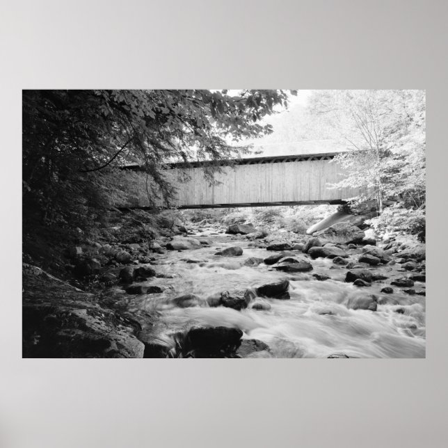 Affiche Pont Brown (Devant)