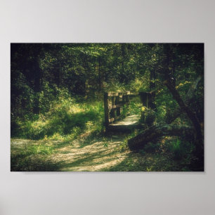 Affiche Pont dans les bois