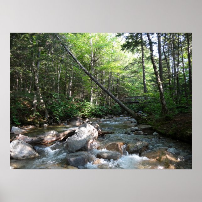 Affiche Pont de la rivière Pemigewasset dans le New Hampsh (Devant)