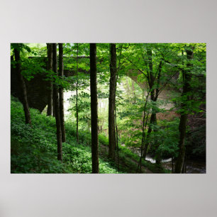Affiche Pont de Letchworth Forêt verte 36" x 24"