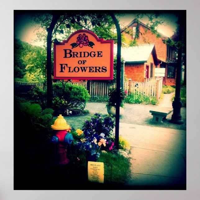 Affiche Pont des fleurs (Devant)