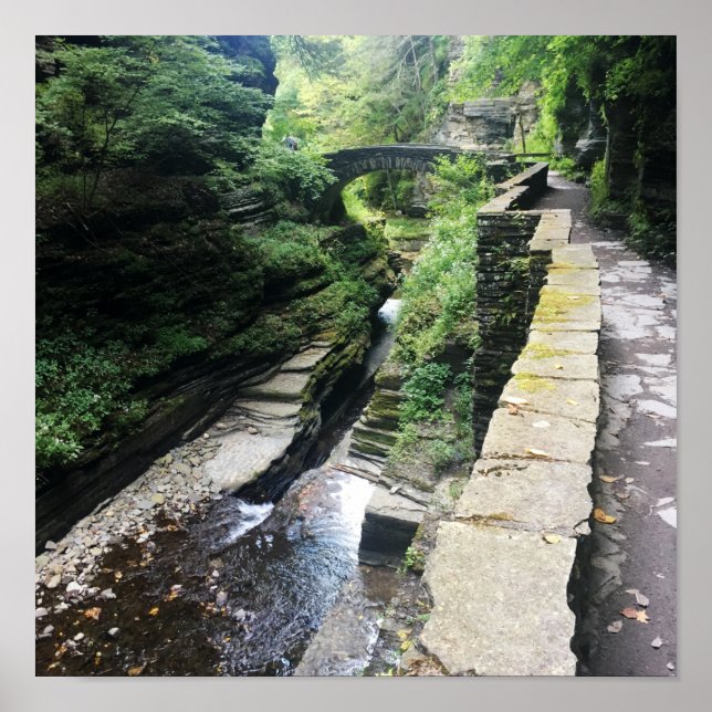 Affiche pont du parc national robert h. treman (Devant)