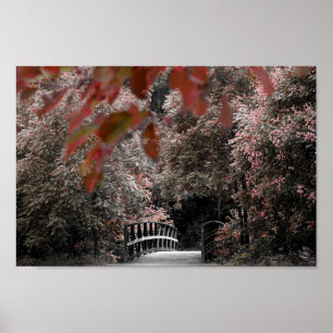 Affiche Pont Rustique Avec De Beaux Arbres Paysage Photo