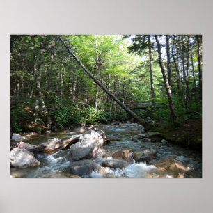 Affiche Pont sur la rivière Pemigewasset au New Hampshire