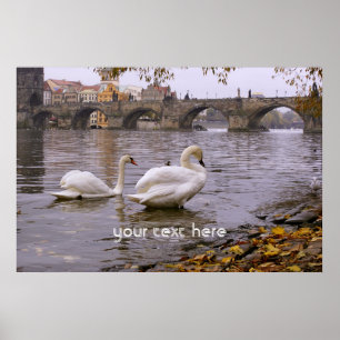 Affiche Pont Swans et Charles à Prague