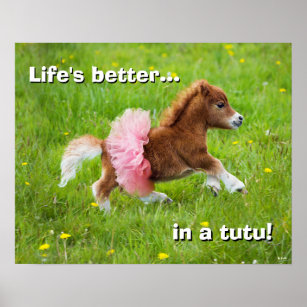 Posters Affiches Humour Poney Zazzle Fr